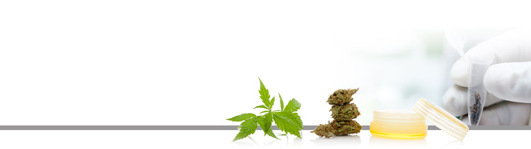 ductless fume hoods for cannabis production and botanical production