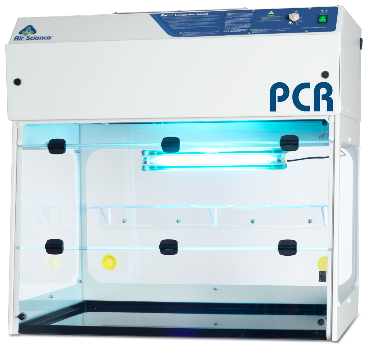 PCR Amplification