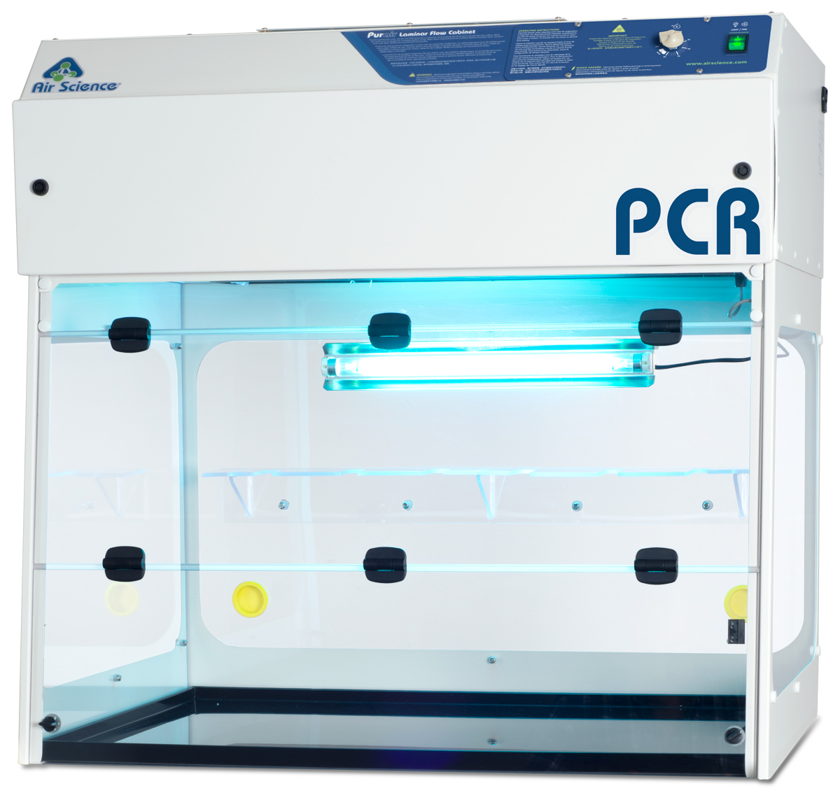 pcr ampification