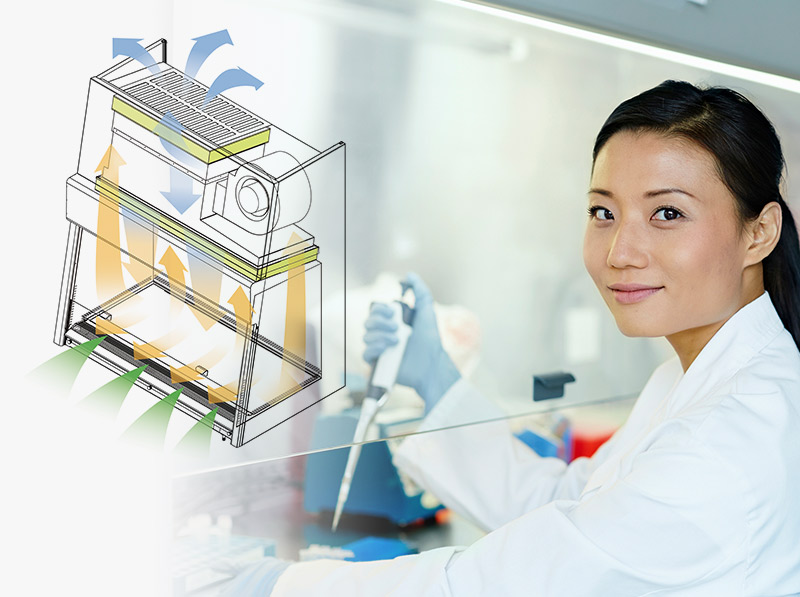 Illustration of Biological Safety Cabinet airflow