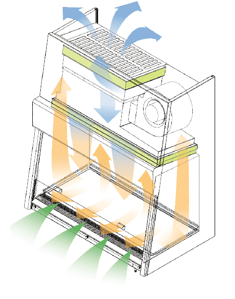 Green class II Safety Cabinet airflow